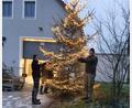 Bild: fvo
Der Oberbernriether Christbaum steht