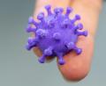 Symbolbild: Robert Michael
Aus dem 3D-Drucker stammt dieses Modell des Coronavirus, dessen Verbreitung im Landkreis Neustadt und der Stadt Weiden wieder anstieg.