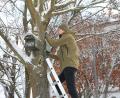 Bild: Wiesel/OTH Amberg-Weiden/exb
Justus Hornung, Student der Bio- und Umweltverfahrenstechnik, beim Aufhängen der Nistkästen