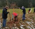 Bild: Gemeinde Kohlberg/exb
Gemeinderäte beim Bäumepflanzen: Neue Obstbäume für die Streuobstwiese am Naturerlebnisweg mussten kurzfristig in die Erde, viele Gemeinderäte waren spontan dabei und halfen mit.
