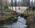 Bild: bkr
Dem lokalen Hochwasserschutz und dem Naturschutz dient der Regenrückhalteteich im Armesbergwald.