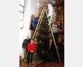 Bild: soj
Die Helfer beim Christbaumschmücken (vorne, von links) Petra Becher, Christa Schiener und Mesnerin Gabi Filberth sowie von der Kirchenverwaltung Rudi Rubenbauer (hinten, von links), Hubert Becher und Stefan Kausler.