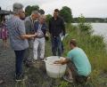 Bild: Eger
Stefan Stock (rechts) hatte einige Karpfen als Anschauungsobjekt aus dem Kornthaner Weiher gezogen. Interessiert sehen Fischereipräsident Gero Clemens Hocker, Wiesaus Bürgermeister Toni Dutz, Landrat Roland Grillmeier, Teichwirt Hans Klupp und Landtagsabgeordneter Christoph Skutella (stehend von rechts) zu.