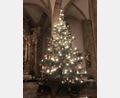 Bild: exb / Peter Ferner
m Altarraum der Stadtpfarrkirche steht zu Weihnachten eine schmucke Tanne. Zehn ehrenamtliche Helfer haben dort noch zwei weitere Christbäume geschmückt.