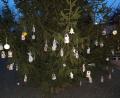 Bild: Ilona Maiwald/exb/exb 
Der von den Kindern geschmückte Christbaum in Etsdorf.