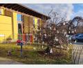 Bild: jow
Der adventlich und vorweihnachtlich dekorierte Haselnussstrauch vor dem Kindergarten in Lintach wartet auf die Spender.