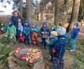 Bild: Waldkindergarten Fuchsbau/exb
Die Mädchen und Jungen des Waldershofer Waldkindergartens bereiteten den Tieren ein leckeres Büfett.