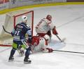 Archivbild: gb
Die Blue Devils zwangen die Eisbären Regensburg zum dritten Mal in dieser Saison in die Knie. Am Donnerstag gewannen die Weidener mit 4:1. Das Bild zeigt eine Szene aus dem ersten Oberpfalzderby Ende Oktober mit Dennis Thielsch vor dem Kasten von Eisbären-Keeper Patrick Berger.
