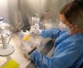 Bild: Bio-Variance/exb
Das Labor von Bio-Variance in Waldsassen hat seit 28. Februar bereits 60.000 PCR-Tests ausgewertet. Diese waren wochenlang nur negativ, seit einiger Zeit sind auch wieder positive Ergebnisse dabei.