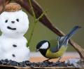Bild: Patrick Pleul/dpa
Die Kohlmeise liegt in Amberg auf Platz 1 der häufigsten Wintervögel bei der "Stunde der Wildvögel"-Zählung im Januar 2022. Sie ist in 100 Prozent aller Gärten in Amberg vertreten. In Amberg-Sulzbach hingegen hat sie es nach der Zwischenbilanz nur auf den zweiten Platz geschafft.