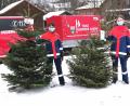 Bild: Portner
Die Jugendfeuerwehr Teunz sammelt am 15. Januar die mit Wertmarken versehenen Christbäume in der Gemeinde Teunz ein. Diese zwei bereits aus der Wohnung geflogenen Bäume landen nach dem Pressefoto schon im Hänger.