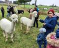 Archivbild: kro
Der FGV Waldershof bietet seinen Mitgliedern einiges und hat auch dieses Jahr wieder ein attraktives Jahresprogramm zusammengestellt. Im vergangenen Jahr besuchte die Familiengruppe die Alpakas am Mitterhof bei Waldsassen.