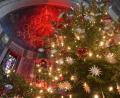 Bild: Gabi Schönberger
Die Nordmanntanne in der St.-Josef-Kirche in Weiden ist heuer über zehn Meter hoch. Bis Lichtmess bleibt der Baum stehen.