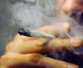 Symbolbild: Daniel Karmann/dpa
Zwei Mal hatten Polizisten den richtigen Riecher: Am Sonntag deckten Beamte der Grenzpolizeigruppe in Waldsassen den Besitz von Marihuana auf.