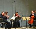 Bild: stg
Das Varian Fry Quartett begeisterte in der Max-Reger-Halle