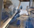 Archivbild: Bio-Variance/exb
Das Labor von Bio-Variance in Waldsassen ist seit Monaten ausgelastet mit den Corona-PCR-Tests. Ab Mitte Januar kann das Team von Geschäftsführer Josef Scheiber auch auf die Omikron-Variante testen.