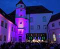 Archivbild: Kulturwerkstatt/exb
Im Schlosshof lockt der Kultursommer Besucher an. Ob der Neustart der Sulzbach-Rosenberger Kulturszene gelingt, wird weiterhin von den Corona-Beschränkungen abhängig sein.