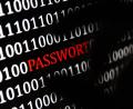 Symbolbild: Monika Skolimowska
Das Wort "Passwort" wird auf einem Computerbildschirm angezeigt.