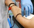 Bild: Gabi Schönberger
Blutspenden ist wichtig. Ein großer Anteil der Spenden gehen an chronisch Kranke. Wer Spenden sollte vorab einen Termin reservieren