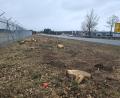 Bild: sne
Die Baumreihe und die Büsche zwischen Flugplatz und Bundesstraße 299 wurden abgeholzt.
