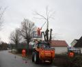 Bild: war
Der Zuschnitt der Bäume an der Kohlberger Straße erfolgt von der Hebebühne aus. Gegenüber sind die noch unbearbeiteten Gehölze mit ihren hochragenden Ästen zu sehen.