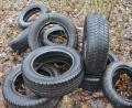 Bild: dob
Unglaublich. Ein Autobesitzer hat seine alten Reifen einfach im Wald bei Trasgschieß entsorgt.