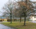 Bild: do
Zwischen dem Sportheim und dem Parkplatz des FC Vorbach (unser Bild) schlägt die Gemeinderatsfraktion der Freien Wähler die Errichtung eines Fitness-Parks vor