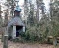 Bild: Süß/exb
Wie ein Sinnbild der vergangenen beiden Stürme liegen zwei dicke Fichten vor der Türe der Kapelle Heilige Staude im Südosten von Weiden. Das Unwetter "Zeynep" löste in Weiden und im Kreis Neustadt/WN zwar etliche Einsätze im Minutentakt aus, zu schwerwiegenderen Schäden kam es laut ILS aber nicht.