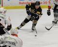 Bild: Andreas Brückmann
Marco Pronath für den ERSC Amberg am Puck.