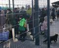 Bild: Vadim Ghirda
Aktuell flüchten die Menschen vor allem innerhalb der Ukraine vor den Auseinandersetzungen im Osten des Landes. Wie hier zu sehen, warten viele Menschen an dem einzigen täglich geöffneten Grenzübergang zwischen dem Separatisten-Gebiet und dem von der ukrainischen Regierung kontrollierten Gebiet. Auch nach Deutschland könnten bald Kriegsflüchtlinge aus der Ukraine kommen.
