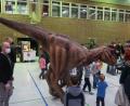 Bild: Kunz
Gassigehen mit Dino: Das war in der Mehrzweckhalle in Weiden am vergangenen Wochenende für Groß und Klein möglich.