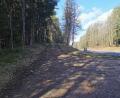 Bild: Eichl
Der Lückenschluss des Radweges zwischen Weiden und Hirschau auf Kohlberger Gemeindegebiet wird deutlich billiger als erwartet. Der Weg kann im Einvernehmen mit dem Bauamt etwas "leichter" als geplant gebaut werden.