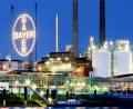 Bild: Oliver Berg/dpa
Das Bayer Werk in Leverkusen. Bayer macht wieder einen Jahresgewinn.
