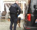 Bild: Gabi Schönberger
Beim Einsatz in dem Lokal in der Weidener Innenstadt können sich die Ermittler der Sonderkommission "Markt" auf ihre Spürhunde verlassen.