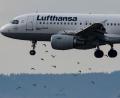 Bild: Boris Roessler/dpa
Eine Passagiermaschine der Lufthansa vom Typ Airbus A319-100 landet auf dem Flughafen in Frankfurt.