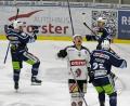 Bild: gb
Tanzende Blue Devils: Die Weidener Eishockeycracks sind Meister der Oberliga Süd und gehen mit einer Top-Ausgangsposition in die Play-offs.