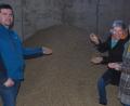 Bild: ws
Strohpellets gehören zur Produktpalette der Trocknungsgenossenschaft Tirschenreuth, die Vorstandsvorsitzender Alois Riedl den Grünen-Abgeordneten Anna Schwamberger und Gisela Sengl (von rechts) zeigen durfte. Riedl verdeutlichte den Landtags-Politikerinnen aber, dass die hohen Energiepreise wohl vorerst zu einem Produktionsstopp führen würden.