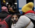 Symbolbild: Carol Guzy/ZUMA Press Wire/dpa
Flüchtlinge aus der Ukraine werden auch in Plößberges Partnergemeinde Goczalkowice-Zdrójin aufgenommen. Die Marktgemeinde will hier Unterstützung bieten.