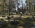 Bild: Petra Hartl
Schatten, Licht, Natur-Idylle: Am Waldfriedhof gibt es laut Friedhofsamt 1713 Gräber. Davon sind circa 500 Urnen in Erdgräbern oder in Urnenstelen.
