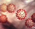 Bild: Center for Disease Control/Planet Pix via ZUMA Wire/dpa
Diese vom Center for Disease Control and Prevention (CDC) erstellte Illustration zeigt den neuartigen Coronavirus 2019.