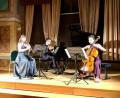 Bild: wel
Das "Trio Arinto" begeisterte die Gäste im Schlosssaal unter anderem mit dem "Gassenhauer-Trio" von Ludwig van Beethoven.