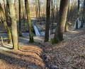 Bild: Gabi Schönberger
Neben dieser Brücke über der Floß sollten zwei oberirdische Rohre Fernwärme vom Biomasseheizwerk an der Bildstraße bis zur Stadthalle transportieren. Um die Leitung vorher zu vergraben, müssten einige Bäume im Stadtwald gerodet werden. Der Stadtrat legt gegen diese Pläne sein Veto ein.