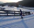 Bild: chl
Tobias Loos konnte beim Saisonabschluss Schülercup im Tiroler Seefeld alle drei Rennen gewinnen. Mit dem Staffelsieg und dem Sieg in der Gesamtwertung holte sich der Läufer vom SC Monte Kaolino Hirschau auch zwei Deutsche Meistertitel
