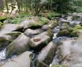 Bild: Thomas Schaller
Das Butterfass ist einer der Höhepunkte, wenn man auf der dritten Etappe des Goldsteigs zwischen Falkenberg und Neuhaus durch das Naturschutzgebiet Waldnaabtal wandert.