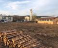 Bild: mis
Neben Seniorenheim, Kirche und Schulturnhalle soll sie in Zukunft stehen: Für die geplante Turnhalle wurde Platz gemacht. Das kleine Waldstück musste weichen.