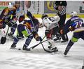 Archivbild: Gebert
Am Freitag fand in Erfurt das vierte Match der "Best-of-5"-Serie im Play-off-Achtelfinale der Eishockey-Oberliga zwischen den Black Dragons Erfurt und den Blue Devils Weiden statt.