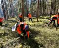 Bild: Eichl
Die Arbeit ist hart, das dauernde Bücken belastet Nacken und Schultern, auch wenn die erfahrenen Forstwirte German Schwägerl, Martin Jakob und Gerhard Völkl wissen, wie sie am gelenkschonendsten arbeiten; im Hintergrund Revierleiter Christoph Arbeiter und Forstdirektor Stefan Bösl (rechts).