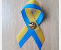 Bild: pz
Blau-gelbe Schleifen als Zeichen der Solidarität mit der Ukraine trugen die Mitglieder des Stadtrats während der Sitzung.