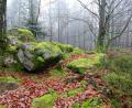 Bild: sds
Die Felsenlandschaften verleihen dem Steinwald eine ganz besondere Atmosphäre. Das Bild entstand ganz in Nähe des Felsmassivs Zipfeltanne.