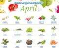 Grafik: Lukas Meister
Saisonkalender für den April.